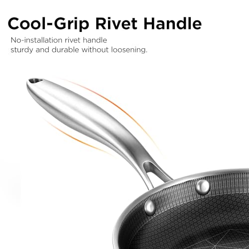 10 Inch Stainless Steel Pan (Silver / 10 Inch)