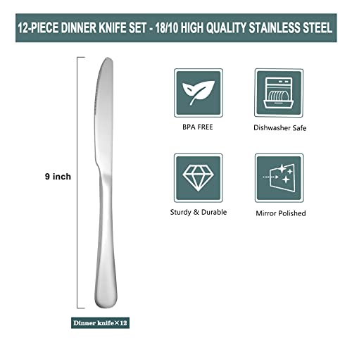 Stainless Steel 12 (9.1''Dinner Knives-12)