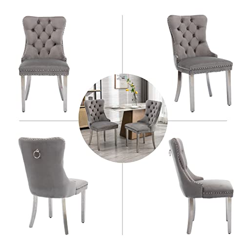 Grey Velvet Dining Chairs Set of 2 (Natural Gray)