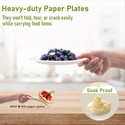 Small Paper Plates 7 inch (White / 7 Inch 500 Pack White)