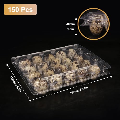 150 Pack Quail Egg Cartons (150 Pack Quail Egg Cartons 20 Grids)