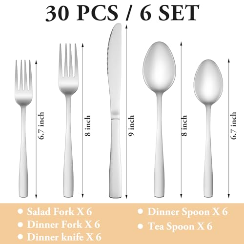 30 Piece Silverware Set Service for 6 (Silver)
