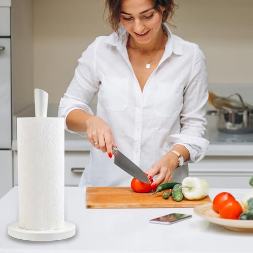 Stainless Steel Paper Towel Holder (White Stainless Steel)