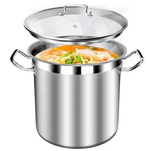 Stainless Steel 20 Quart Stockpot with Tempered Glass Lid