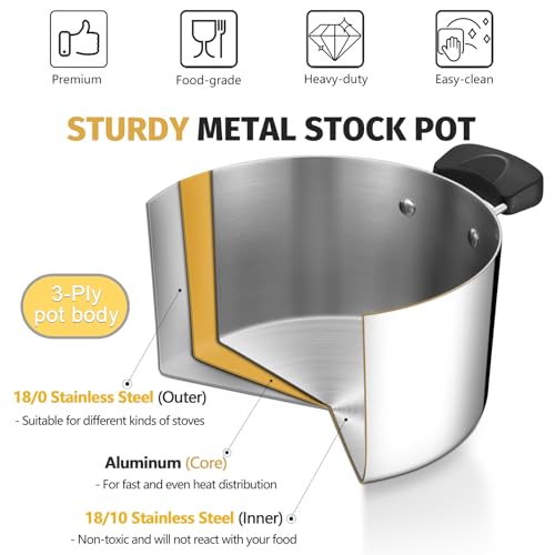 4 Qt Pot with Lid (4 Quarts)