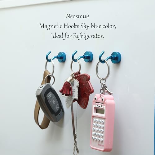 Magnetic Hooks (12 Count)