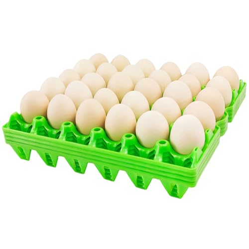 4 Pack Plastic Egg Tray Egg Crates (4 Count)