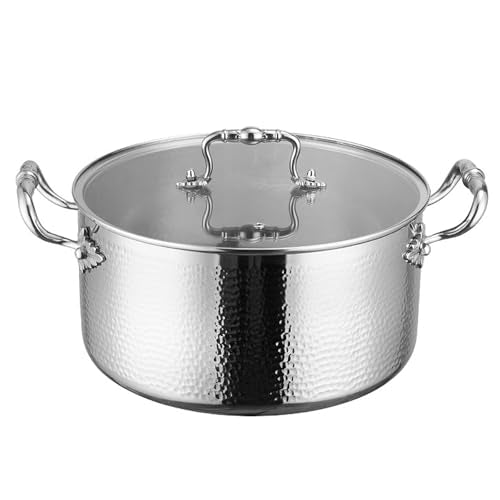 Stainless Steel Stock Pot with Visible Lid for Pasta (8.5 Quarts)