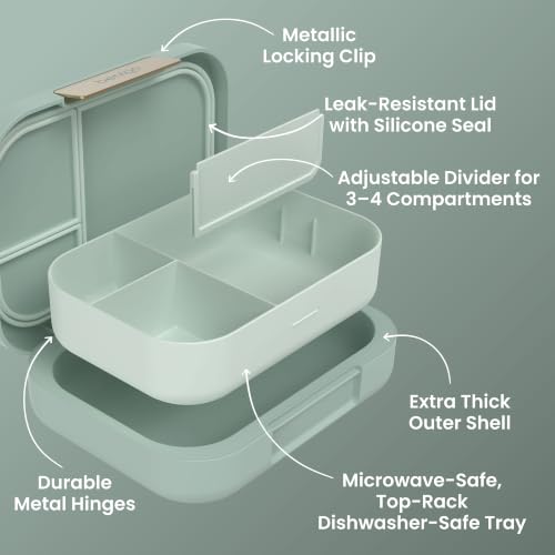 Modern Adult Bento Lunch Box with 3 (Mint Green)
