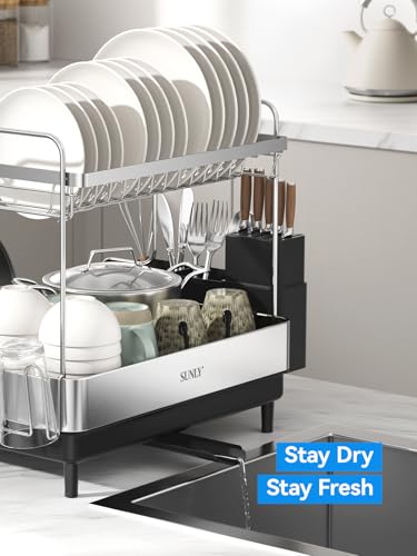 2 Tier Dish Drying Rack