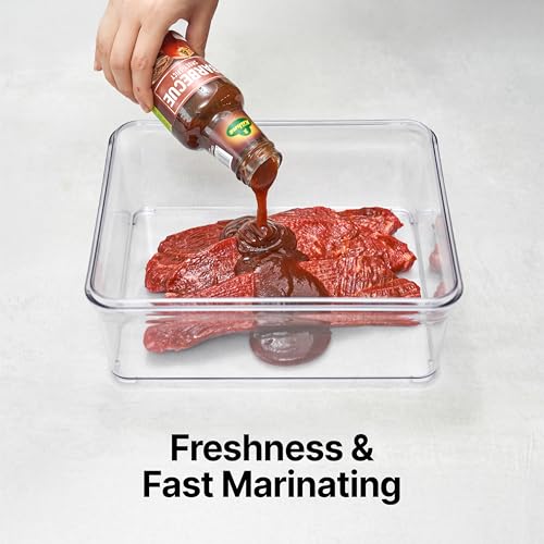 Premium Airtight Food Storage Containers (Large Container 4.0)