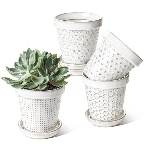 Ceramic Plant Pots (4.9 inch)