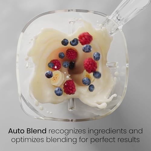 Obliterator 48 oz Countertop Blender for Smoothies (CONCRETE / Power Blender + 2 Travel Jars)