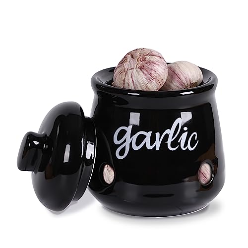 Ceramic Mini Garlic Saver Container for Countertop (Black)