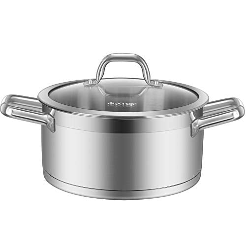 Stainless Steel Stock Pot with Lid (4.2 Quarts)
