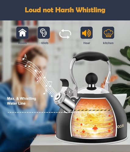 Tea Kettle 2 Quart Stainless Steel Whistling Tea Kettle (Black)