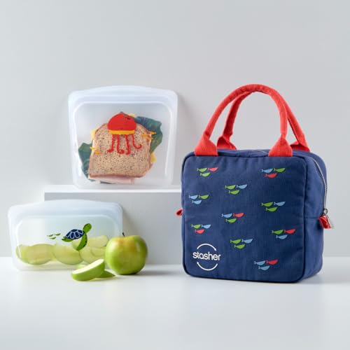 Reusable Kids Lunch Collection (3-Pack)