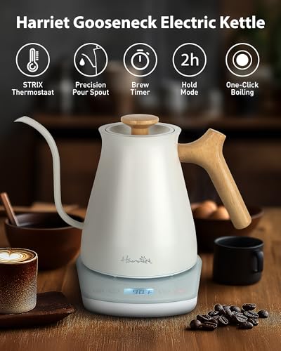 Gooseneck Electric Kettle (White / 0.8 Quarts)