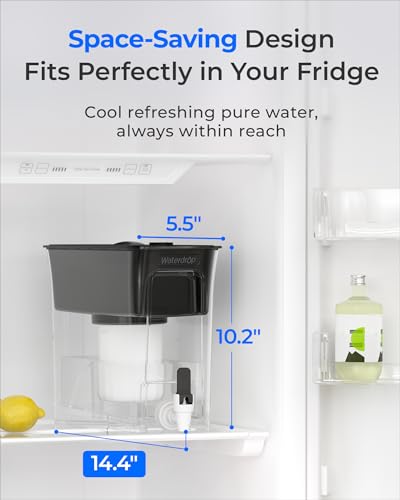 WFD 03L Water Filter Dispenser (Black-TDS Reduction)