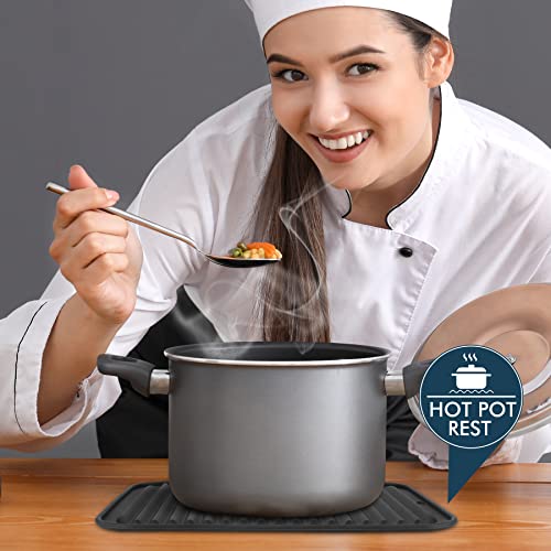446℉ Heat Resistant BPA Free Silicone Trivets for Hot pots and Pans (2 Count)