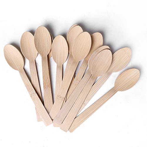 Bamboo Utensils (2000 Spoons)