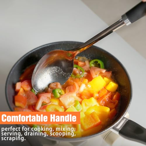 Stainless Steel Cooking Spoon (Z-Black Spoon)