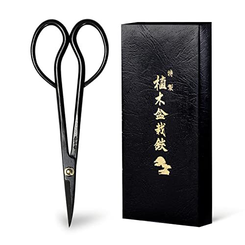 Satsuki Bonsai Scissors (Satsuki 7")