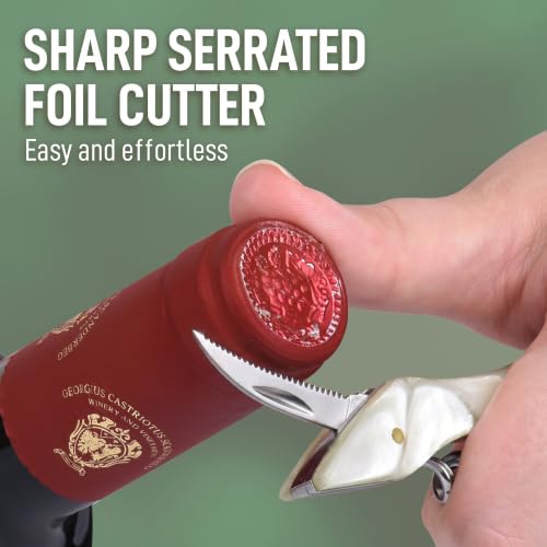 Corkscrew Wine Opener