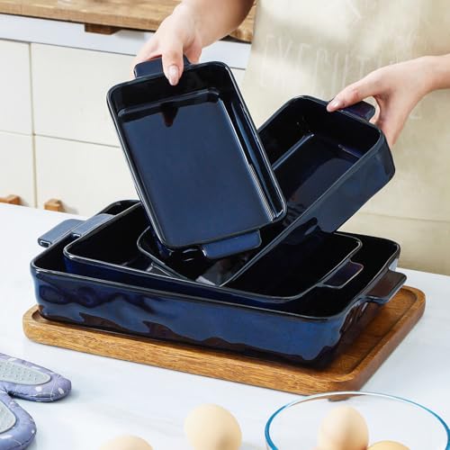 Ceramic Bakeware Set (Set of 4 / Blue)