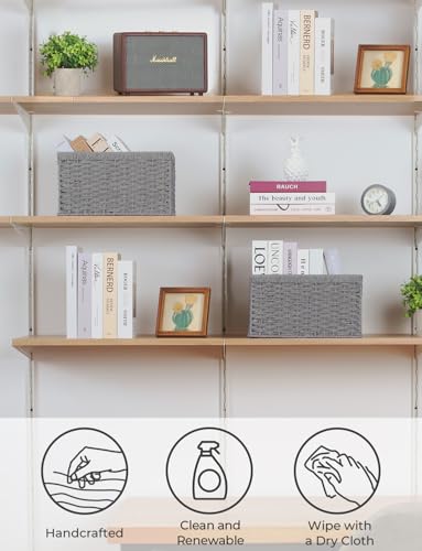 Wicker Storage Baskets (Gray (Paper Rope) / 2x 13"L x 8¼"W x 7"H)