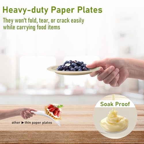 Small Paper Plates 6 inch (6 Inch 400 Pack)