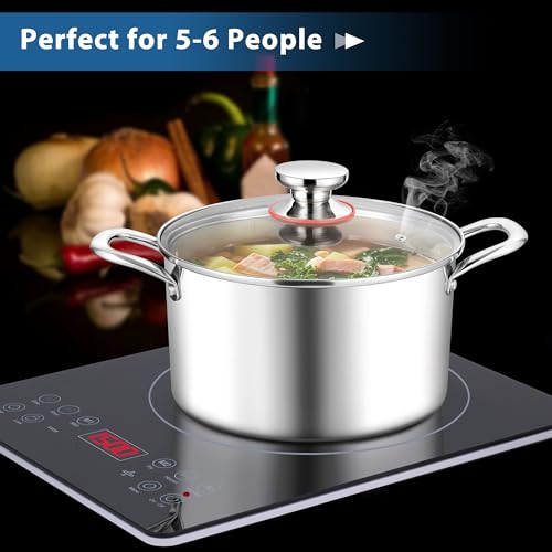 6 Quart Stock Pot
