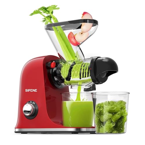 Mini Slow Masticating Juicer (Red)