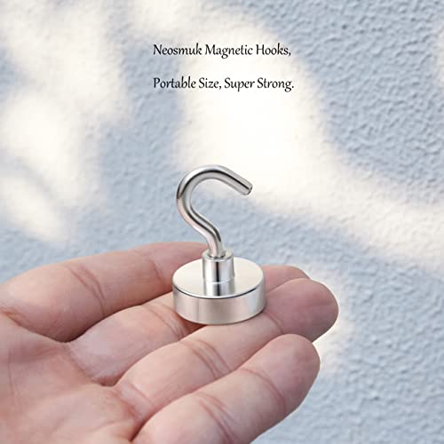 Magnetic Hooks (10 Count)
