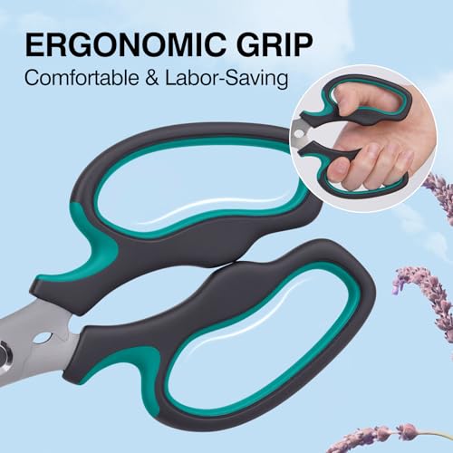 Pruning Shears