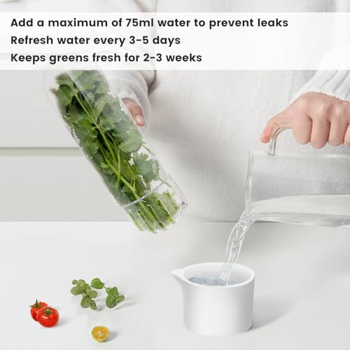 Herb Keeper for Refrigerator (3PCS)
