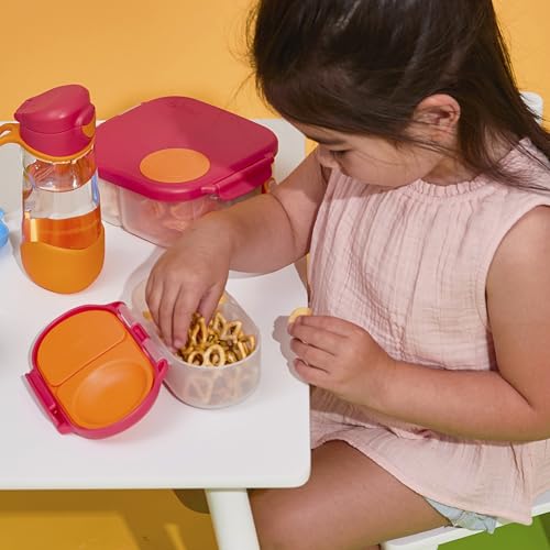 Snack Box Snack Containers for Kids