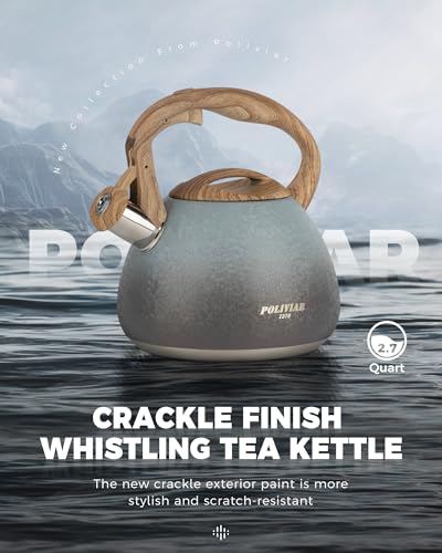 POLIVIAR Tea Kettle (2.7 Quarts / Crackle-Seabed)