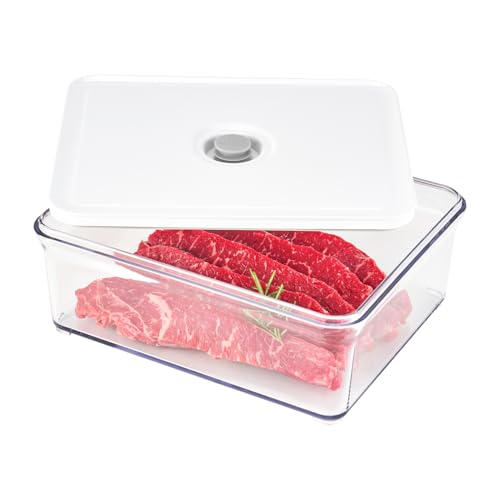 Premium Airtight Food Storage Containers (Large Container 4.0)