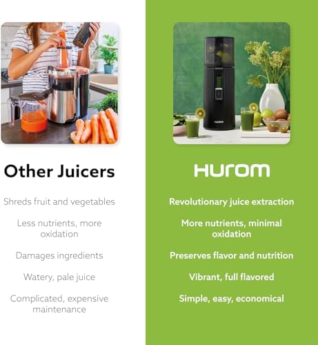 H400 Easy Clean Slow Juicer (Titanium)