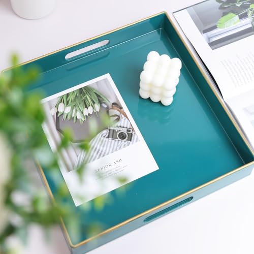 Green Decorative Serving Tray with Handles (Dl06re)