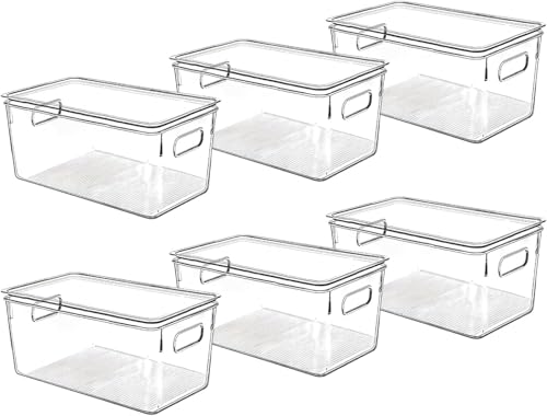 Clear Plastic Storage Bins with Lids (10 X 6 X 5)