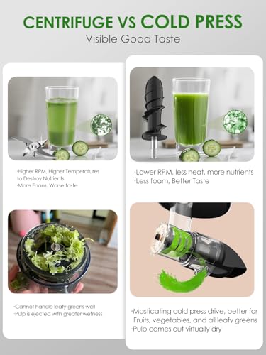Masticating Juicer Machine 200W Slow Cold Press Extractor for Veggie (Grey)