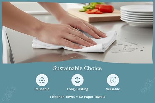 Organic Cotton White Dish Towels (White)