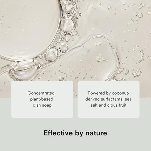 Natural Dish Soap (34 Fl Oz)