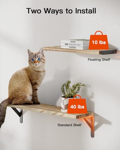 Amada Solid Paulownia Wood Wall Shelves (Wooden / Large)