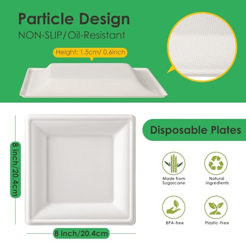 Compostable Square Paper Plates 8 Inch 100 Pack Disposable Plates (White / 8 inch)