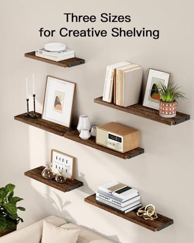 Amada Solid Paulownia Wood Wall Shelves (Brown / Medium)