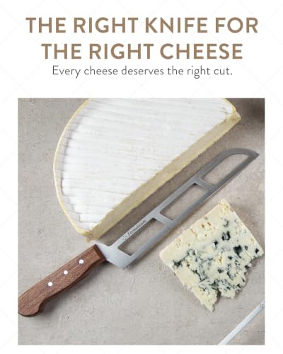 Professional Soft Cheese Knife