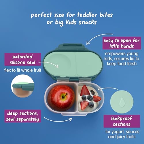 Snack Box Snack Containers for Kids (1-pack / Emerald Forest)
